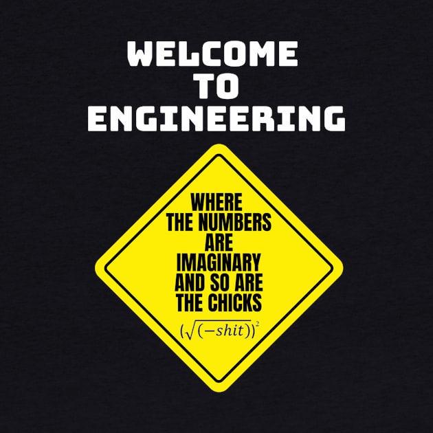 Mathematics and Engineering by Humor me Engineering and Math